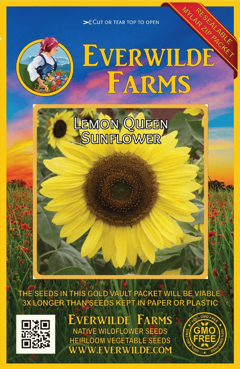 50 Lemon Sherbet Foxglove Flower Seeds Biennial 50 Lemon Sherbet Foxglove Flower Seeds Biennial