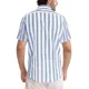 thumbnail image 3 of Camisa Hombre Manga Larga Slim Fit Casual Rayas Caballero, 3 of 5