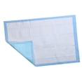 thumbnail image 2 of Super Absorbent Antibacterial Pet Mat for Cleaning Keeps House Tidy 20 Pcs Size S 33x45cm, 2 of 9