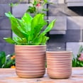 thumbnail image 4 of GreenShip 2 Pack Planter for Indoor Plants,10 inch Plant Pots with Drainage Hole,Modern Plant Pots,Decorative Flower Pots, 4 of 8