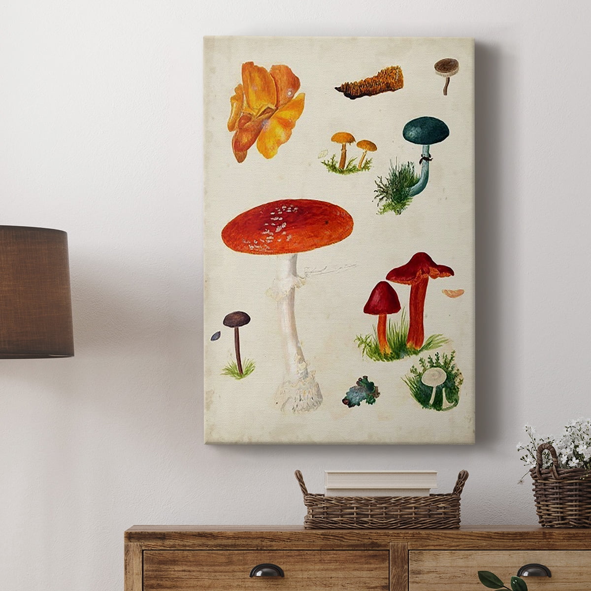 Mushroom Species VIII Premium Gallery Wrapped Canvas - Ready to Hang