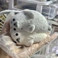 thumbnail image 4 of R-880 A Sea Lions Squeeze Toy Soft Material For Relaxation Stress Relief Toy, 4 of 4