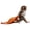 19.7 inches, variant on 6-19.7in Car Window Sticker Vehicle Adhesive Label Monkey Theme Decal Car Exterior Decal Rear Window Decoration Sticker