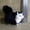 Style2, variant on BESTSKY Cat Stuffed Animal,Decorative Feline Figurine Stuffed Cat,Brings Warmth and Natural Charm Cat Toys for Kids,Style1