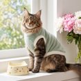 thumbnail image 5 of Fievgin Fleece Dog Sweaters for Small Dogs, Warm Winter Puppy Clothes for Cold Weather Walks, XL, 5 of 6