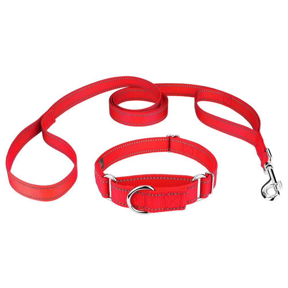 Country Brook Petz® Blaze Orange Reflective Nylon Martingale Dog Collar