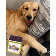 thumbnail image 2 of PetCalm, 2 of 4