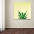 thumbnail image 3 of Trademark Fine Art 'Succulent Simplicity V' Canvas Art by Felicity Bradley, 3 of 3