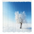 thumbnail image 3 of Ambesonne Winter Shower Curtain, Snow Covered Alone Tree, 69"Wx84"L, Blue White, 3 of 5