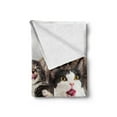 thumbnail image 2 of Kittens Throw Blanket, Licking Cats with Funny Faces Whimsical Furry Friends Pets Animals Love, Flannel Fleece Accent Piece Soft Couch Cover for Adults, 50" x 60", Grey Pale Brown Taupe, by Ambesonne, 2 of 4