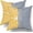 Yellow Navy Blue, variant on Teal Navy Blue Pillow Covers 18x18 Set of 2 Gray Dahlia Decorative Striped Throw Pillows Modern Geometry Flower Decorative Pillowcase Square Cotton Cushion Case Decor for Home Sofa Couch Bed