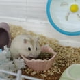 thumbnail image 2 of Ceramic Pet Hamster Bowl Small Water for Small Animal Feeding Pink, 2 of 5