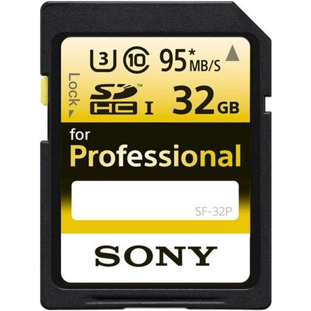 Sony Carte Mémoire Professionnelle SD, 32 Go (SF-32P/T1)