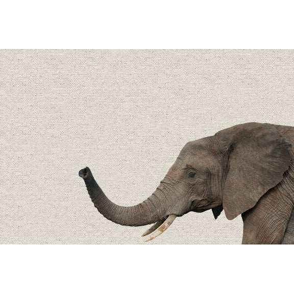 Marmont Hill Mh-Pekabo-8834-Cdl-36 24" X 36"