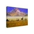 thumbnail image 2 of Trademark Fine Art 'Bull Elk Portrait' Canvas Art by Chris Vest, 2 of 4