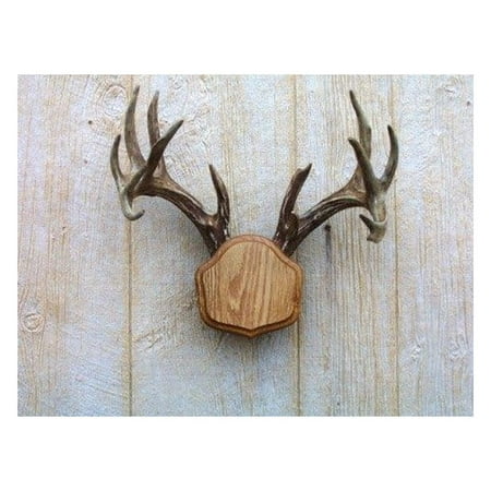 The Medium Oak The Deer Stand Antler Mounting Kit