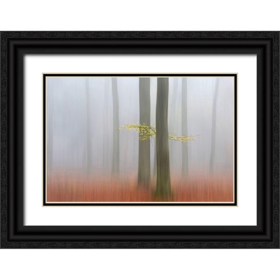 Limberg, Huib 24x17 Black Ornate Wood Framed with Double Matting Museum Art Print Titled - Autumnmorning