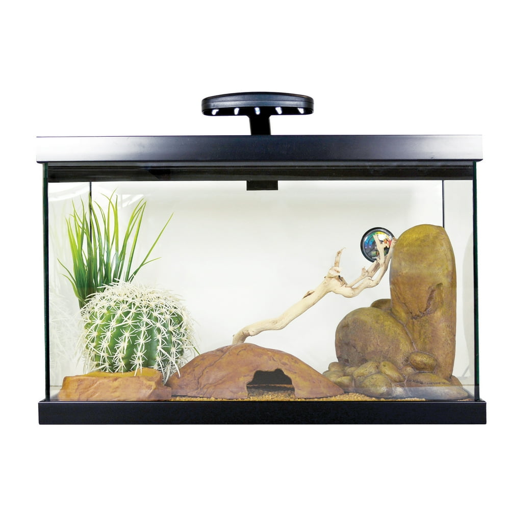 Exo Terra 10-Gallon Leopard Gecko Habitat Starter Kit - Walmart.com