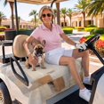 thumbnail image 3 of Golf Cart Seat Covers for 2 Seater, Brown Geometric Soft Microfiber Cart Seat Towel Blanket, Modern Oil Painting Abstract Absorbent Breathable Non Slip Bench Seats Protector for Golf Course 51"x31", 3 of 9