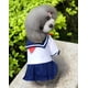 thumbnail image 1 of Sailor School Uniform for Dogs Dress Kawaii Embroidery Pet Dog Clothes Cat Small Thin Spring Summer Fashion Pet Products 2022 ShopWise Round, 1 of 11