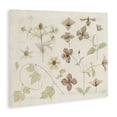 thumbnail image 3 of Stupell Industries Nature Botanical Study Canvas Wall Art design by Julie de Graag, 24 x 30, 3 of 7