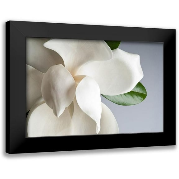 PhotoINC Studio 14x11 Black Modern Framed Museum Art Print Titled - Magnolia