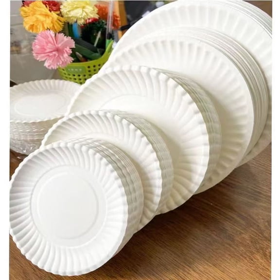 Blank paper plates, disposable cake plates, kindergarten paper plates, handmade dishes, dinner plates, children’s DIY crafts, painting.