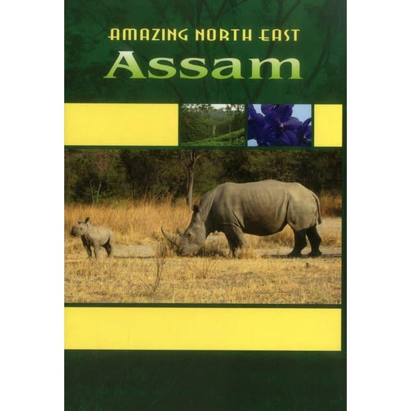 Amazing North East - Assam (Hardcover)