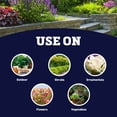 thumbnail image 5 of Harris Seeds Bonide Pyrethrin Garden Insect Spray Concentrate, Pest Control for Vegetables and Flowers, 1 Pint, 5 of 7