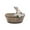 A, variant on Piwvid Cute Rabbit Shaped Succulent Planter, Resin Animal Flower Pot and Plant Container, Decorative Home Garden Vase for Indoor Decor, Available in Pig, Dog, Fox Designs, Easy to Clean