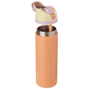 Owala FreeSip Stainless Steel Water Bottle, 24oz, Flamango Salmon