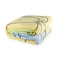 thumbnail image 3 of Disney Princess Kids Twin Silk Touch Blanket, 100% Polyester, 3 of 6