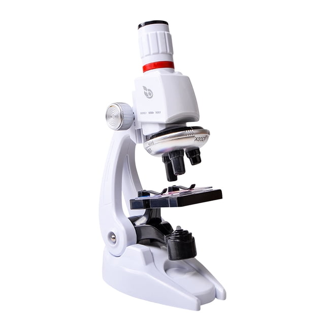 Educativo Educación Temprana Simulación Biología Ciencia Alta definición 1200 Veces Microscopio Juguete Wmkox8yii HAHFKSH1573