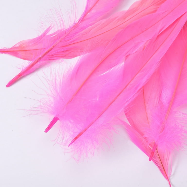 Hot Pink Ostrich Feather - 10-12