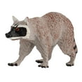 thumbnail image 2 of Tachiuwa Plastic life Animals Northern Raccoon Figures Miniature Model Teaching Toys Standing, 2 of 9