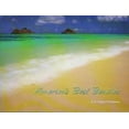 thumbnail image 1 of Pre-Owned America's Best Beaches (Paperback) 096634510X 9780966345100, 1 of 1