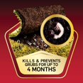 thumbnail image 4 of Grub Killer Scotts GrubeX1 para toda la temporada, 10,000 pies cuadrados (paquete de 2), 4 of 6