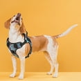 thumbnail image 5 of Dogline Quest Multi-Purpose Dog Harness, 5 of 27