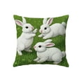 thumbnail image 2 of Easter Decoration Bunny Pillow Covers 18x18 In,Easter Rabbit Soft Plush Faux Fur Jacquard Throw Pillows ,Easter Rabbits Throw Pillow Covers, Bunny Soft Plush Cushion Case Decoration for Sofa Couch, 2 of 6