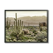 Stupell Industries Rocky Desert Landscape Landscape Photography Black Framed Art Print Wall Art, 14 x 11