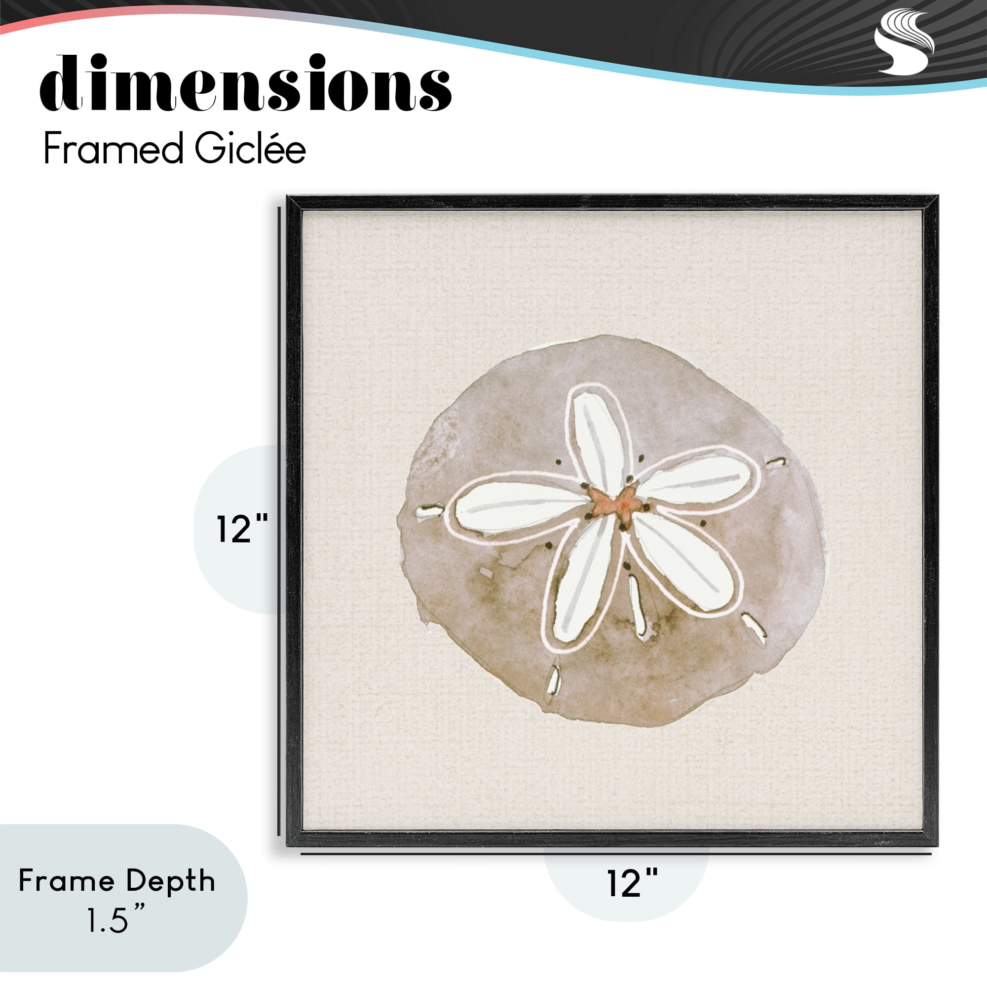 Stupell Industries Serene Beige Sand Dollar Black Framed Giclee Art, design by Lanie Loreth