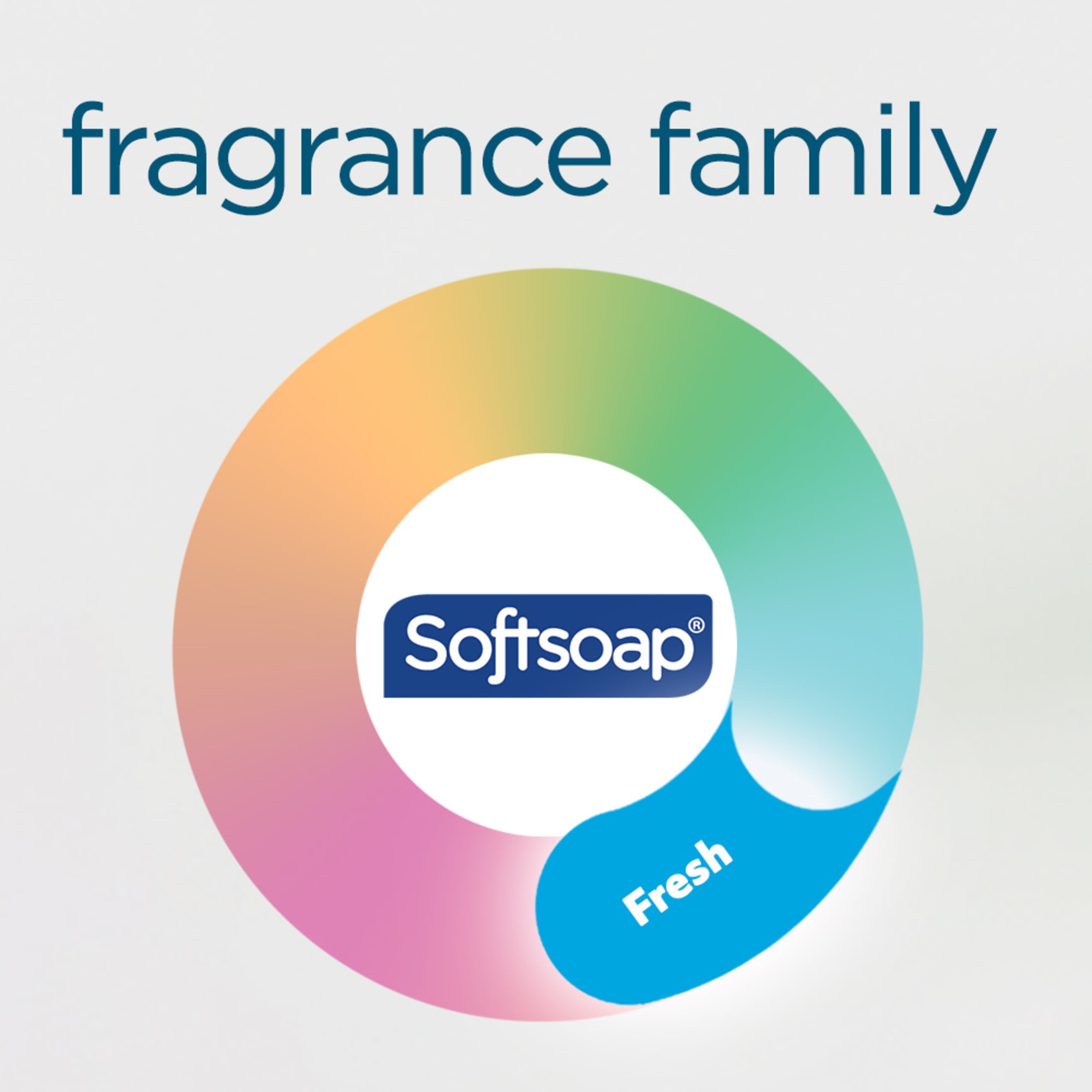 (2 pack) Softsoap Pure Air Liquid Hand Soap, Ocean Breeze with Bergamot, 11.25 Fluid Ounce Bottle