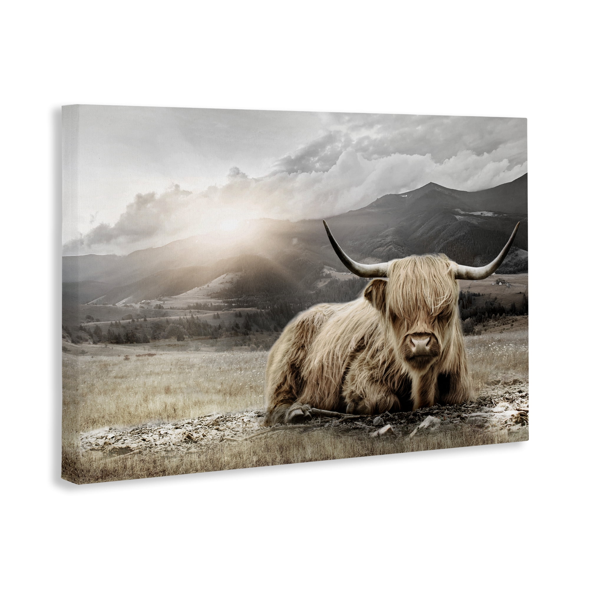 Stupell Industries Cattle Resting in Morning Sun Canvas Wall Art, design by CAD Designs