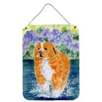 Carolines Treasures SS8619DS1216 Nova Scotia Duck Toller Aluminium Metal Wall or Door Hanging Prints, 16" x 12", Multicolor