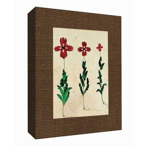 PTM Images,Body Of a Flower, 16x20, Decorative Canvas Wall Art