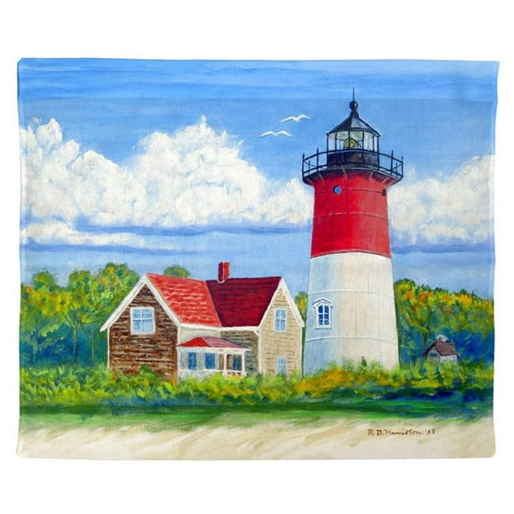 Betsy Drake Interiors Nauset Lighthouse, MA Outdoor Wall Hanging 24x30