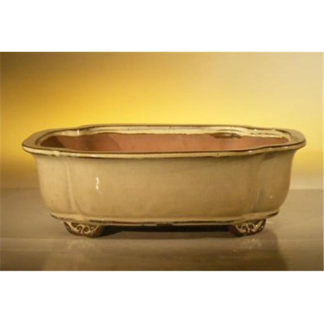 10 x 8 x 3.125 in. Ceramic Bonsai Pot, Beige - Rectangle