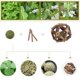 thumbnail image 2 of 2 herramientas molares para hierba gatera., 2 of 5
