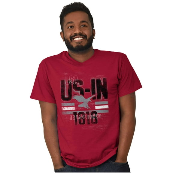 Indiana IN Distressed Vintage Eagle Men's Graphic T Shirt Tees Brisco Brands S