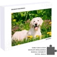 thumbnail image 5 of Coolnut 500 PCS Jigsaw Puzzles, Artwork Gift for Adults Teens Happy Labrador Retriever Sitting in Dandelions Field Wooden Puzzle Games, 20.5" x 14.9" 500 Pieces, 5 of 6